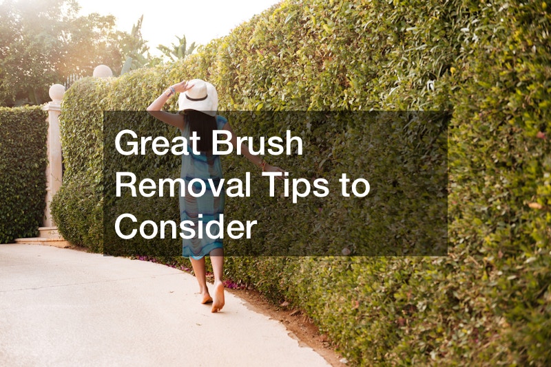 Great Brush Removal Tips to Consider
