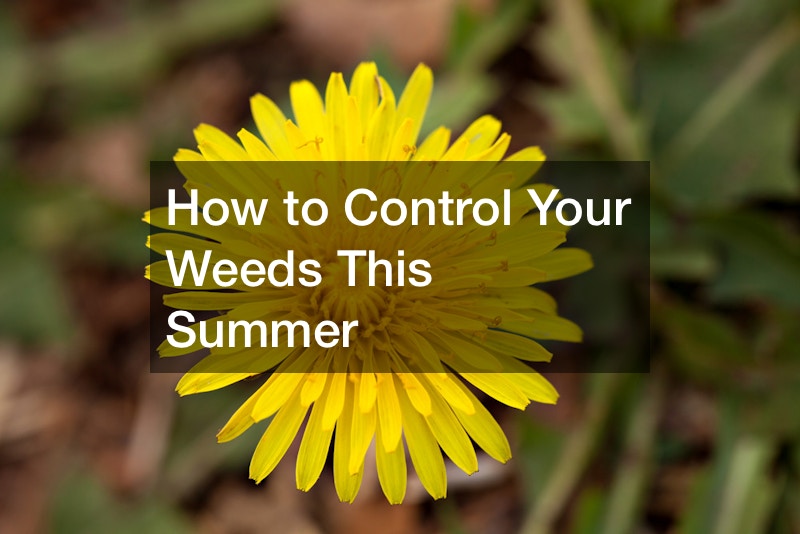 How to Control Your Weeds This Summer