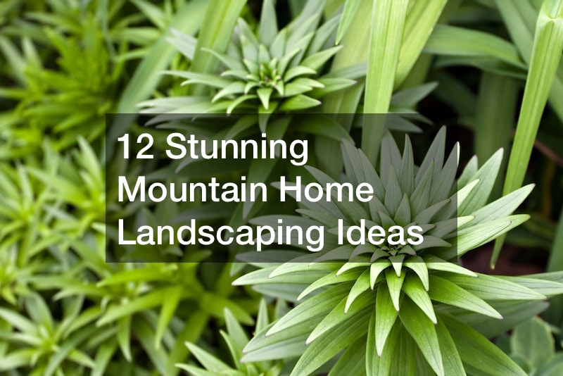 12 Stunning Mountain Home Landscaping Ideas