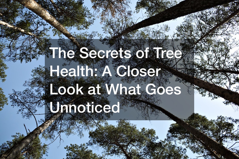 The Secrets of Tree Health  A Closer Look at What Goes Unnoticed