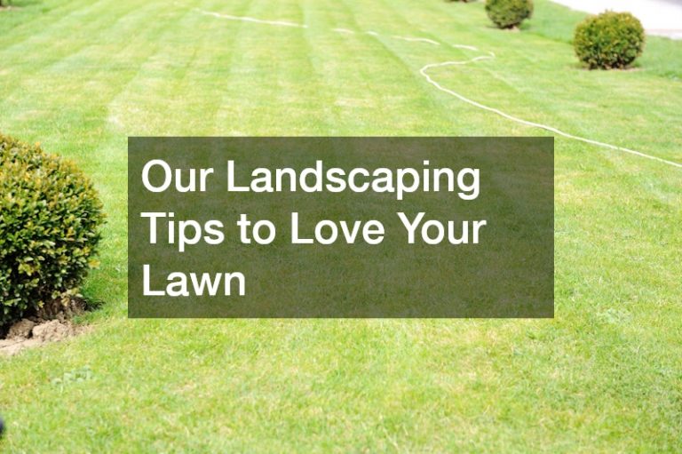 Our Landscaping Tips to Love Your Lawn