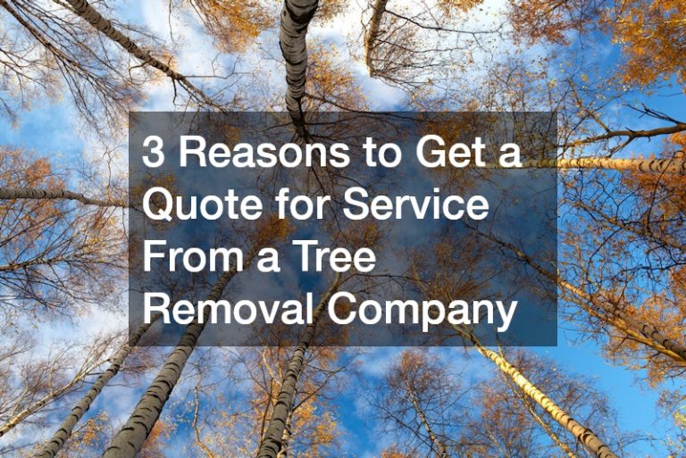 3 Reasons to Get a Quote for Service From a Tree Removal Company