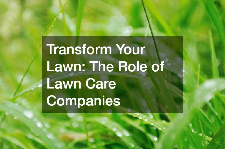 Transform Your Lawn The Role of Lawn Care Companies