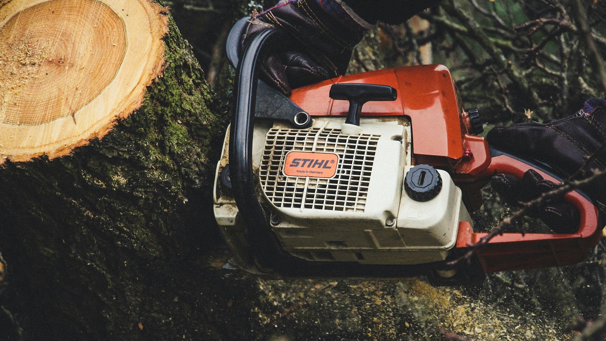 tree stump and chainsaw