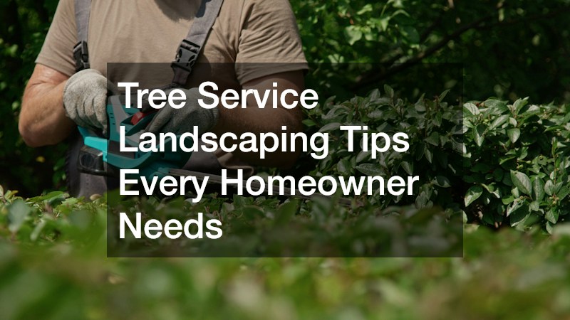 Tree Service Landscaping Tips Every Homeowner Needs